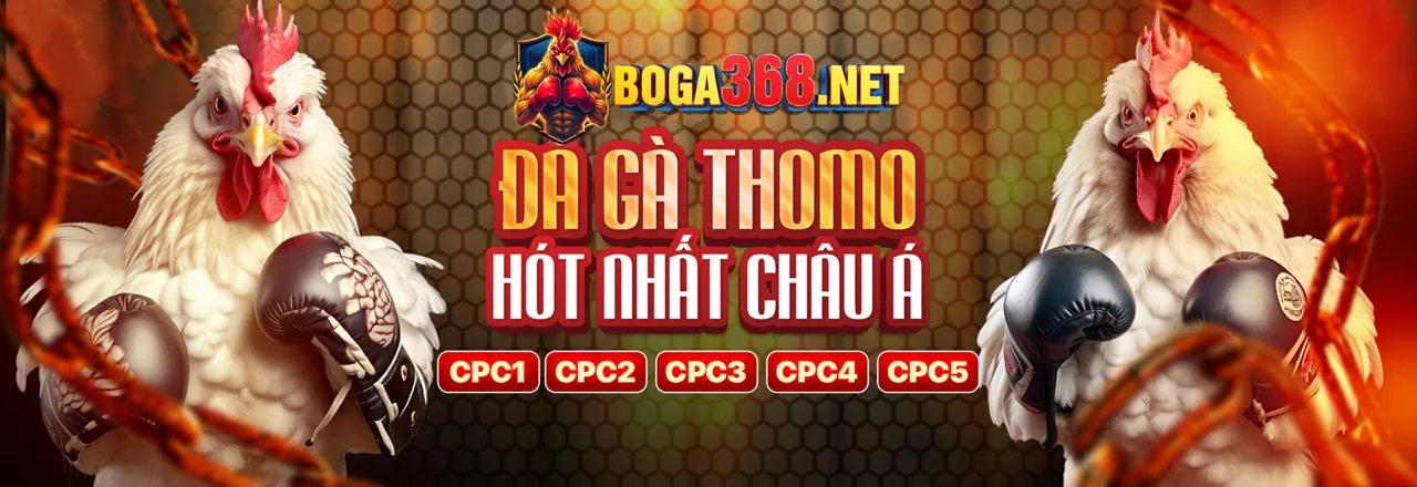Tính năng cá cược thể thao trực tiếp mới của game NX88